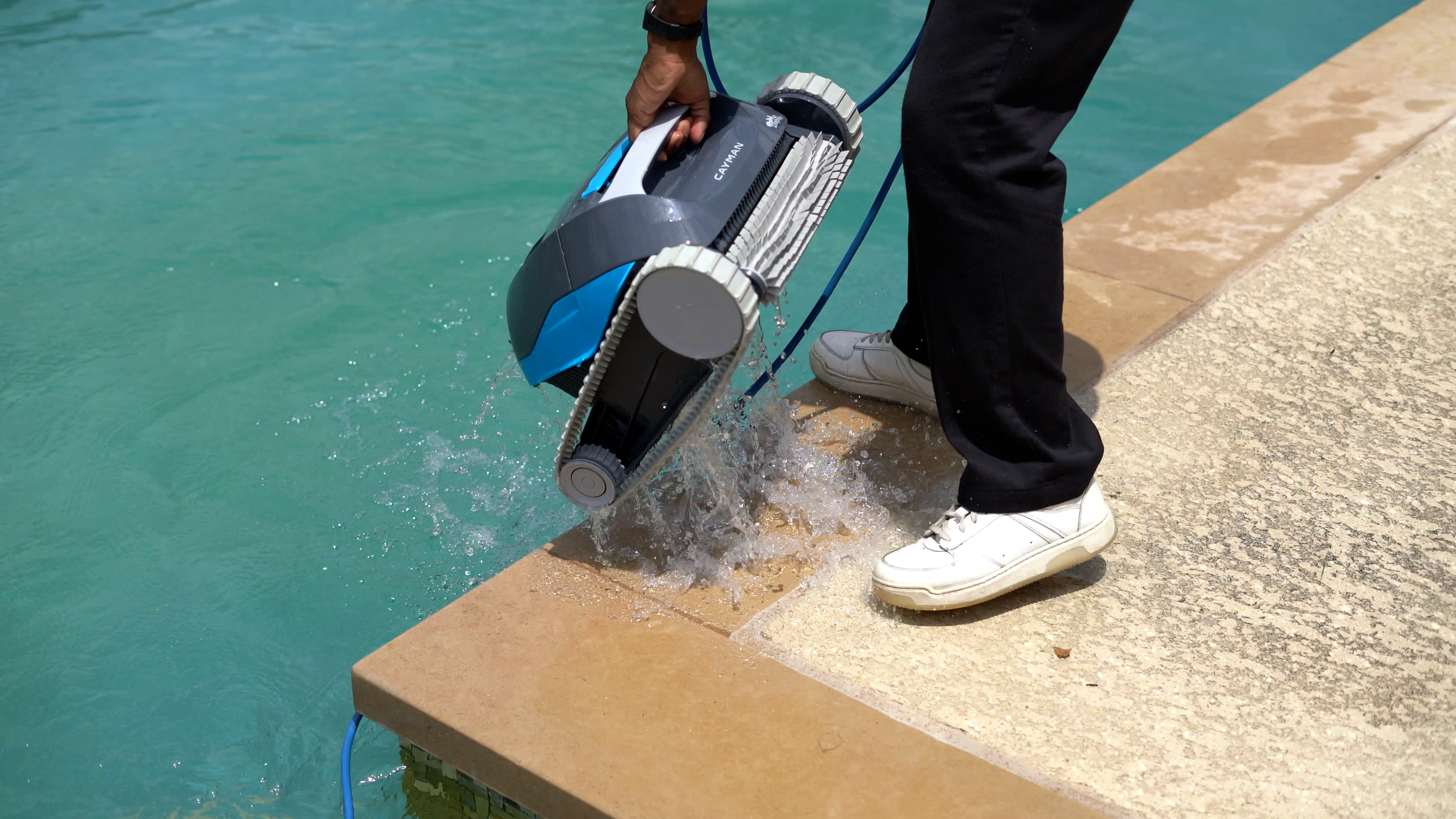 Dolphin Cayman Being Removed Splashing Water Edge Pool