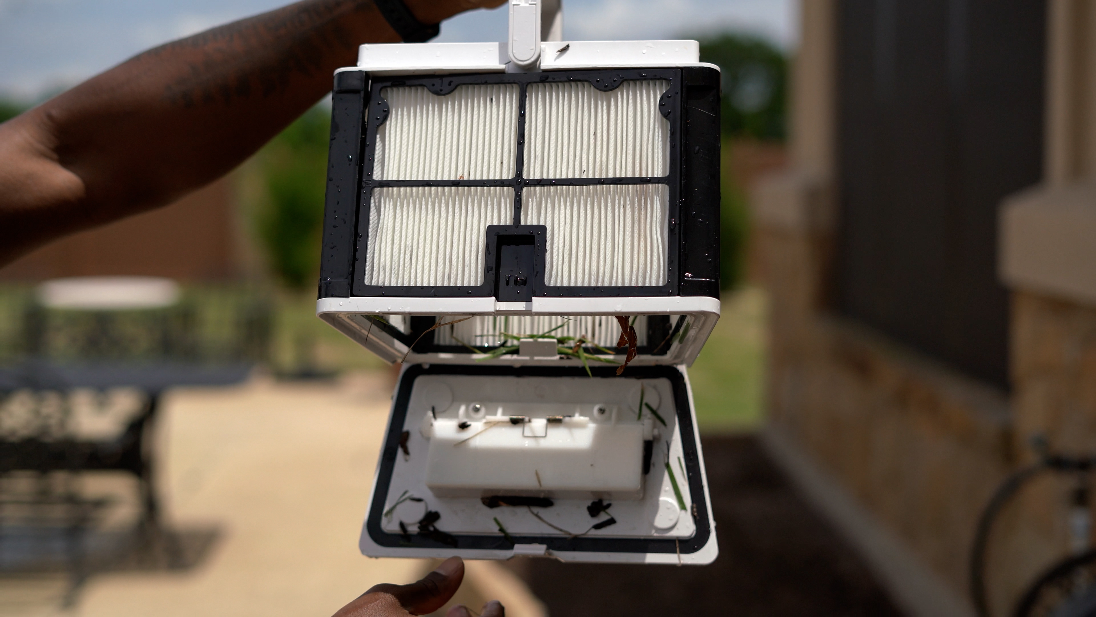 Dolphin Cayman Filter Open Showing Debris Being Held