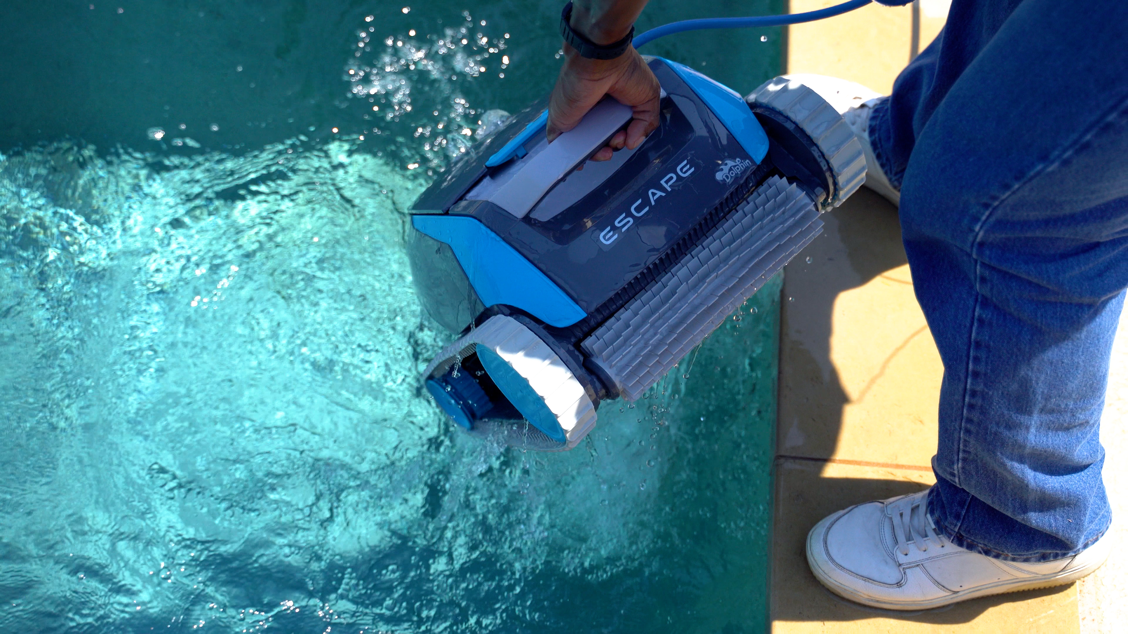 Dolphin Escape Lowering Robot Into Bright Blue Water