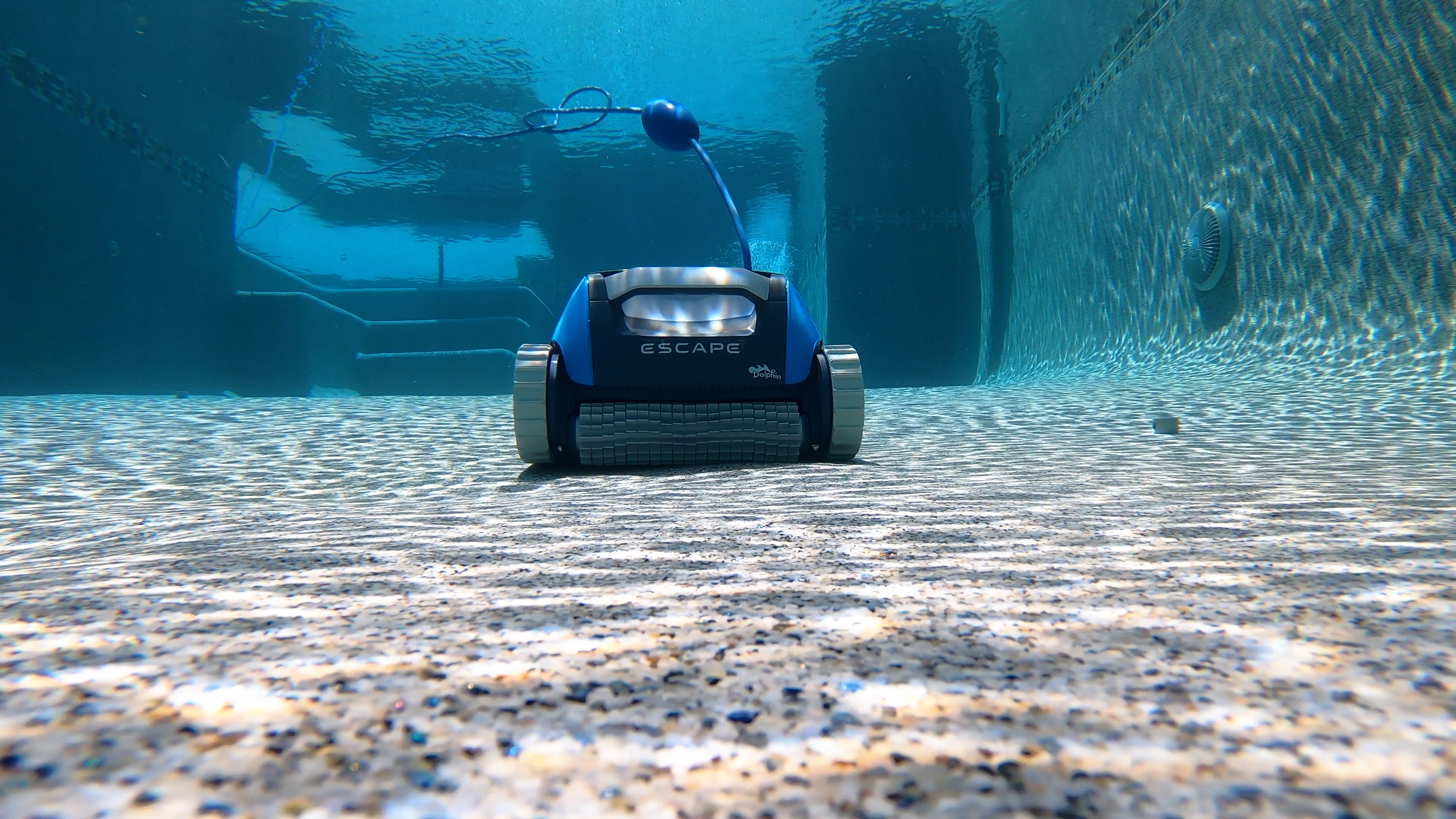 Dolphin Escape Underwater Front View On Pebble Pool Floor