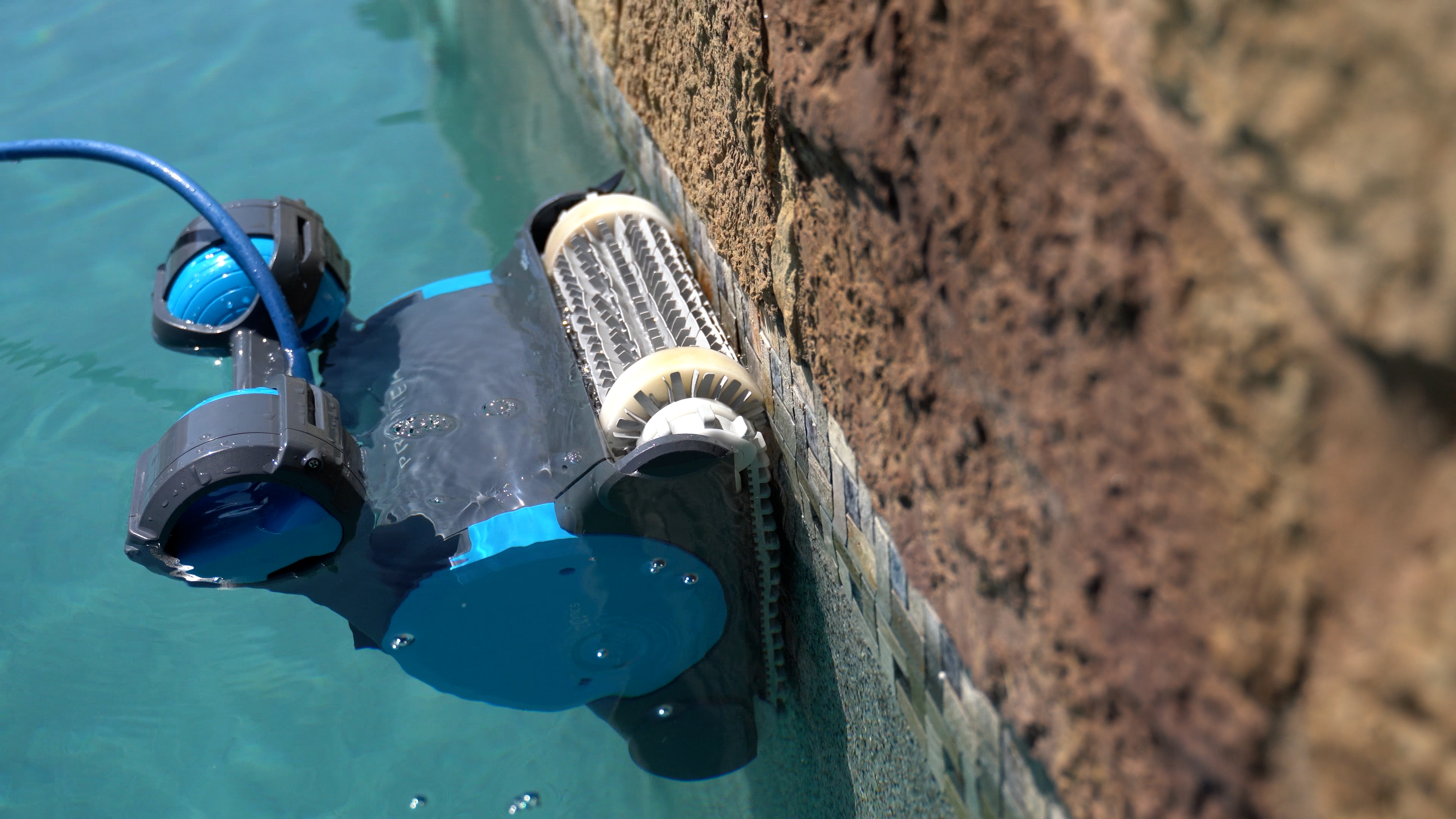 Dolphin Premier Angled Closeup Near Tiled Pool Wall