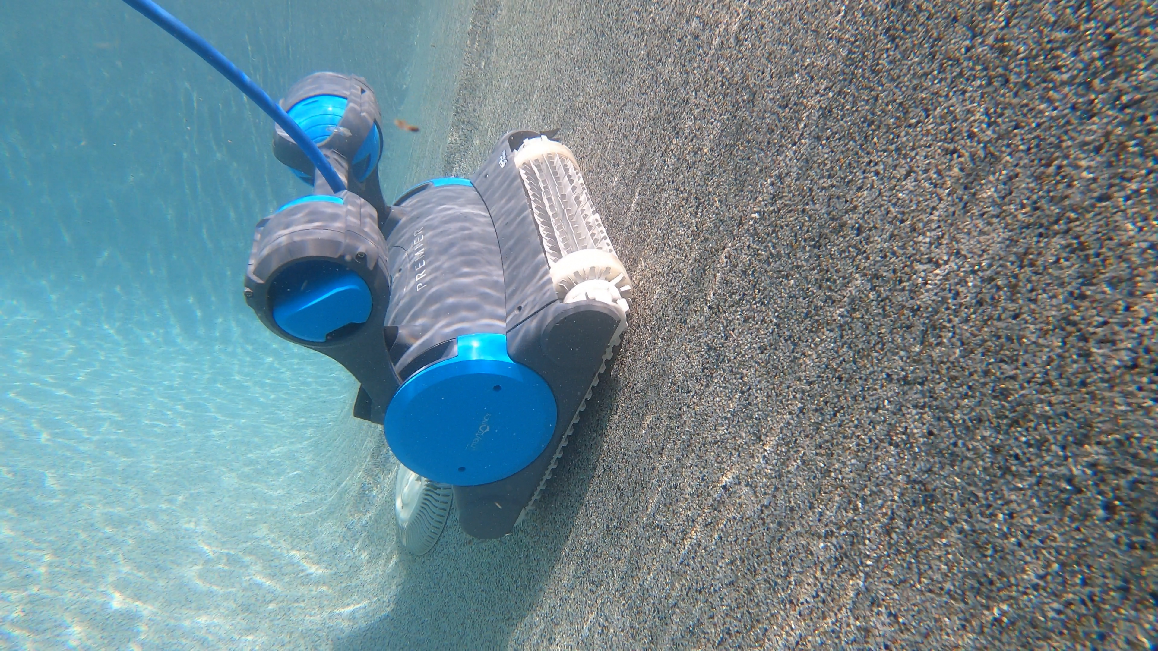 Dolphin Premier Angled Underwater View Scrubbing Pebble Pool Wall