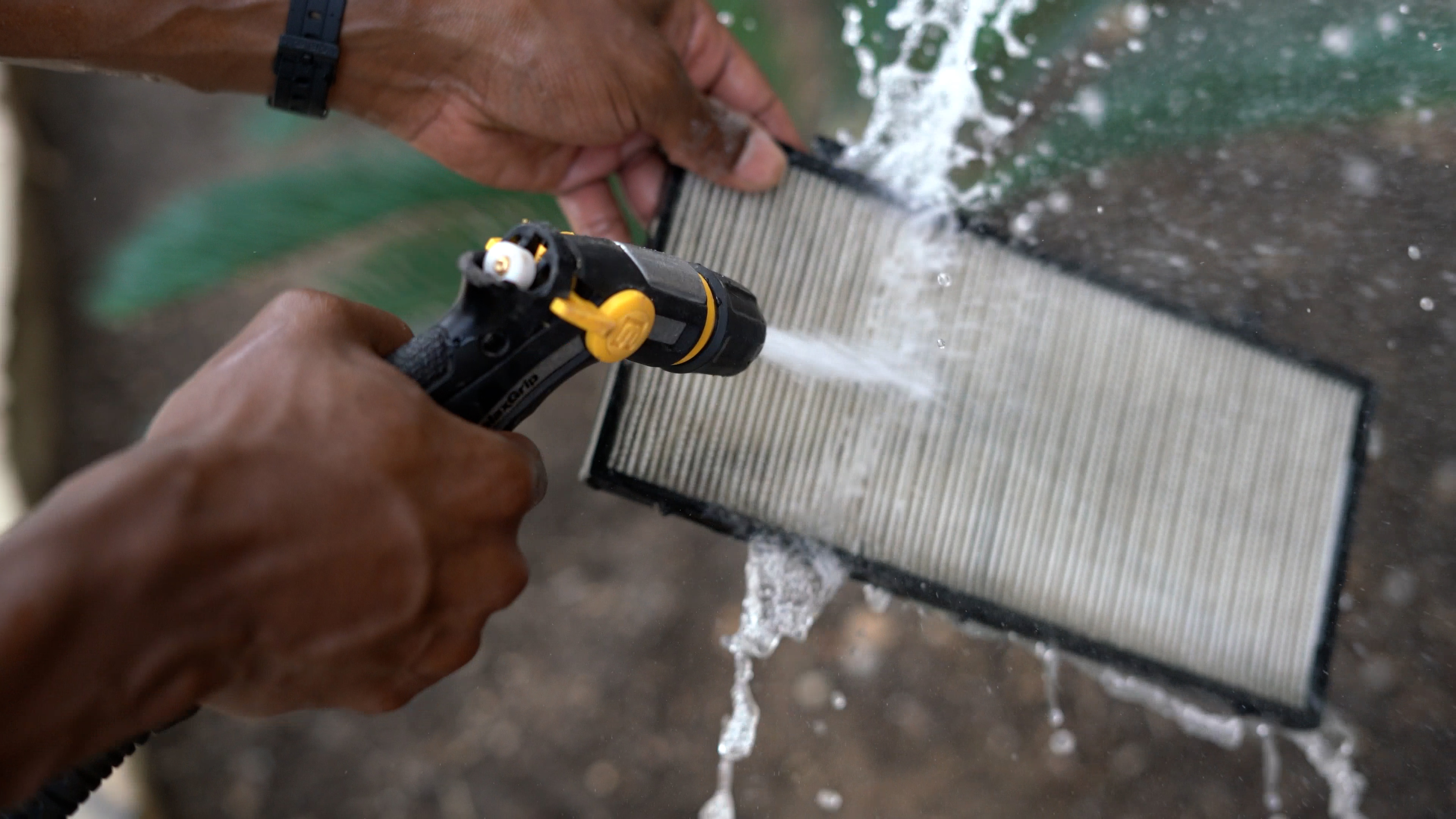 Dolphin Premier Person Cleaning Filter Cartridge With Hose