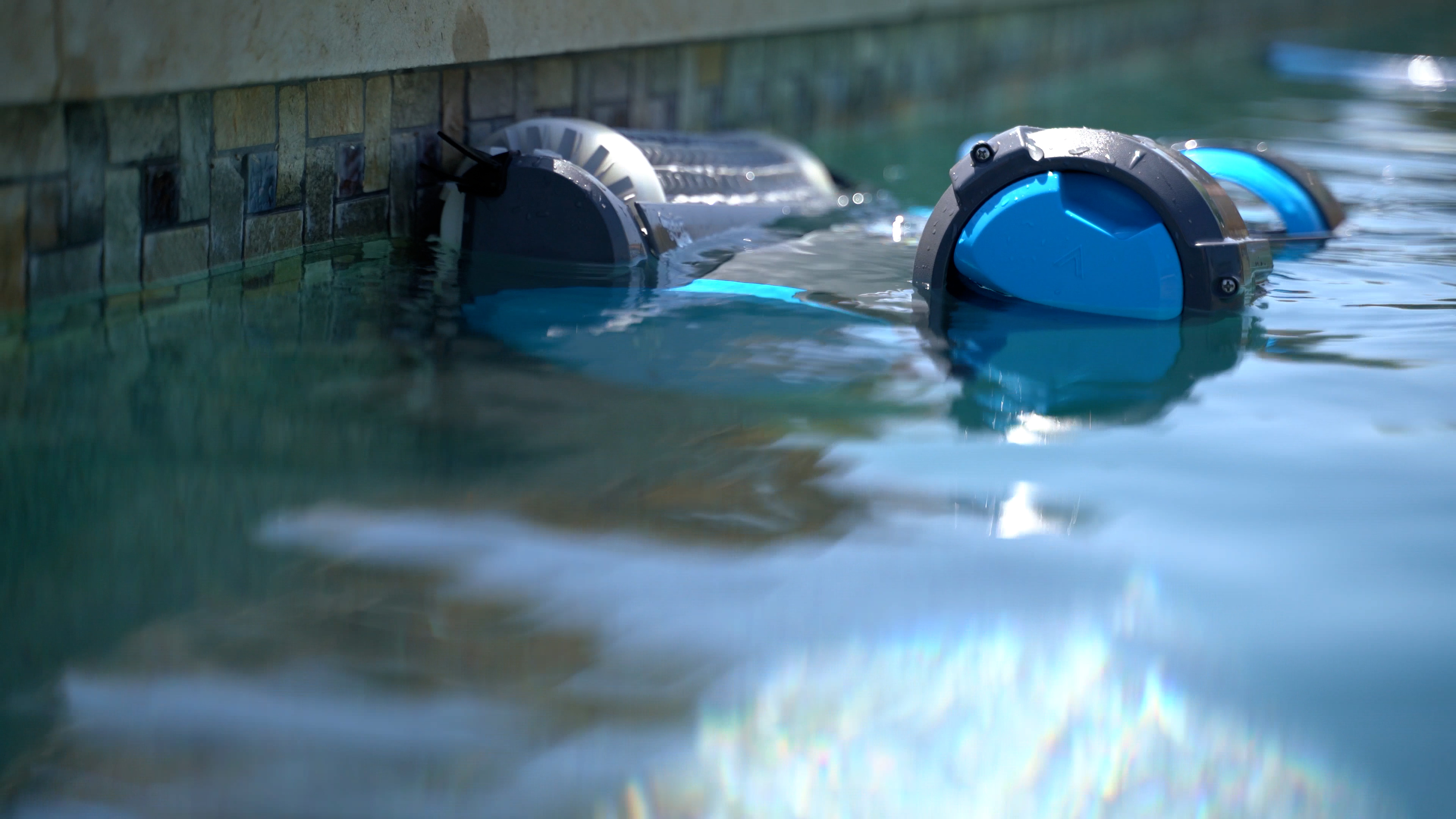 Dolphin Premier Waterline Cleaning