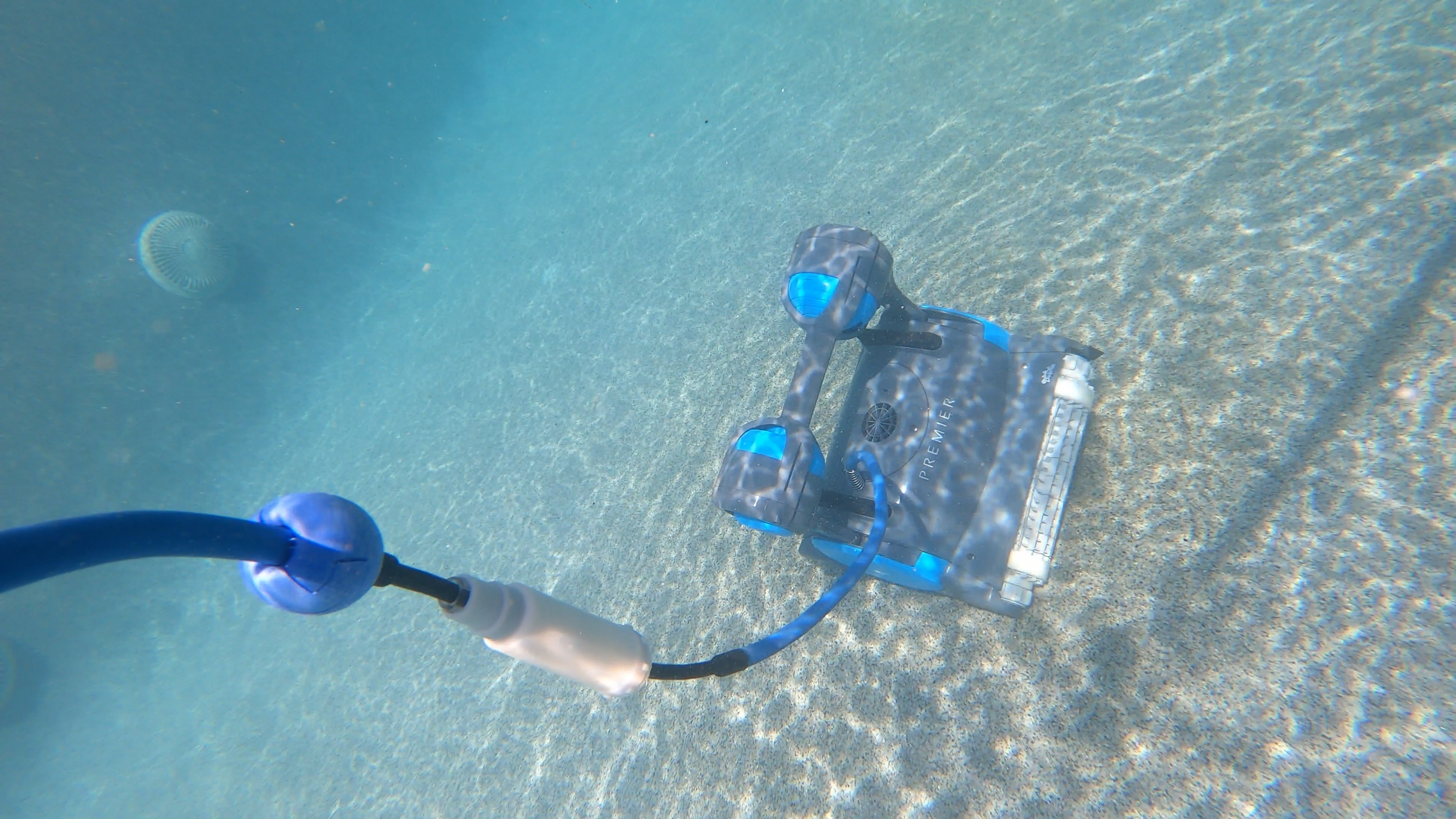 Dolphin Premier Underwater Resting On Sandy Bottom Tether Attached