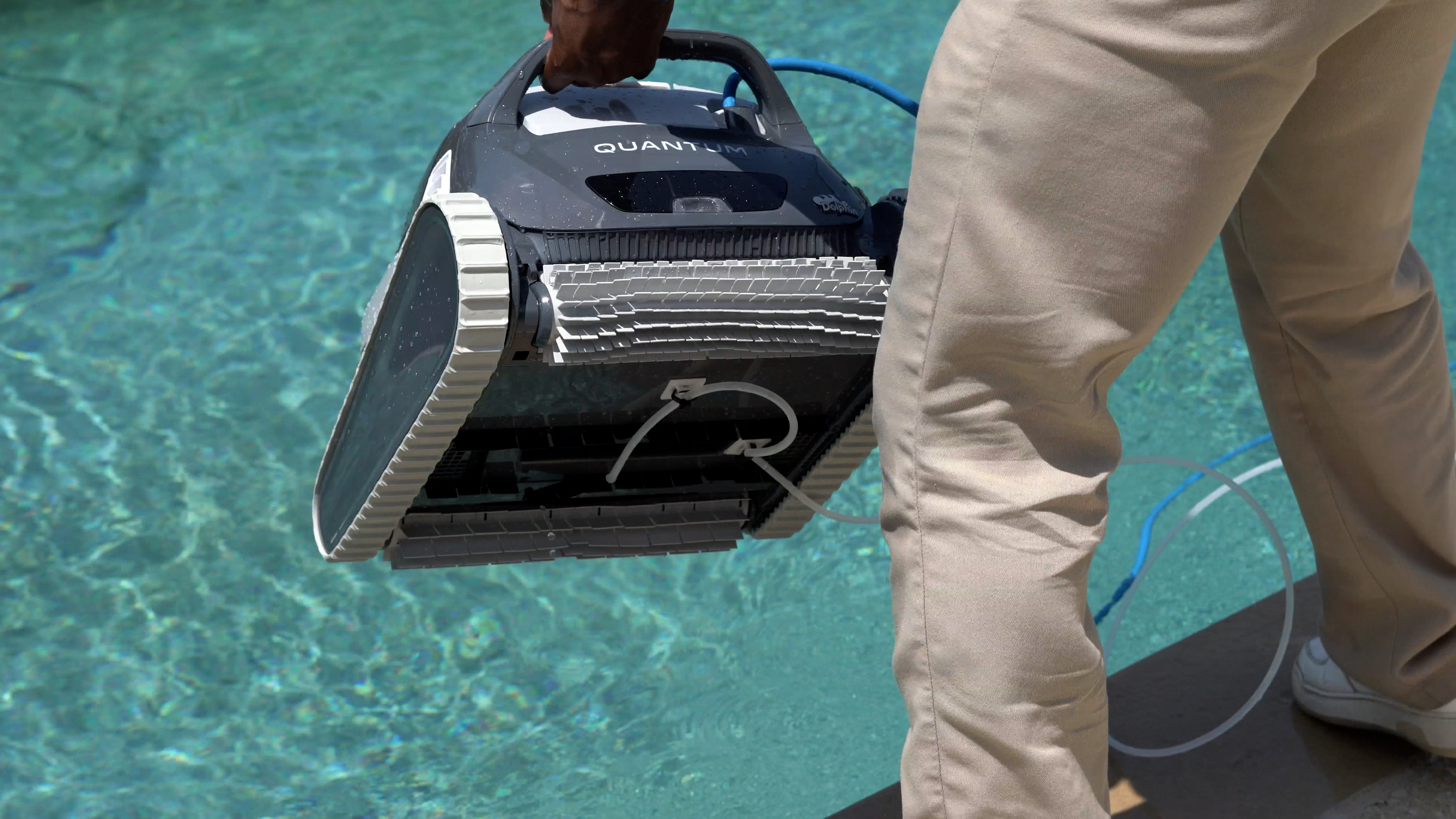 Dolphin Quantum Being Lifted Near Pool Surface Treads