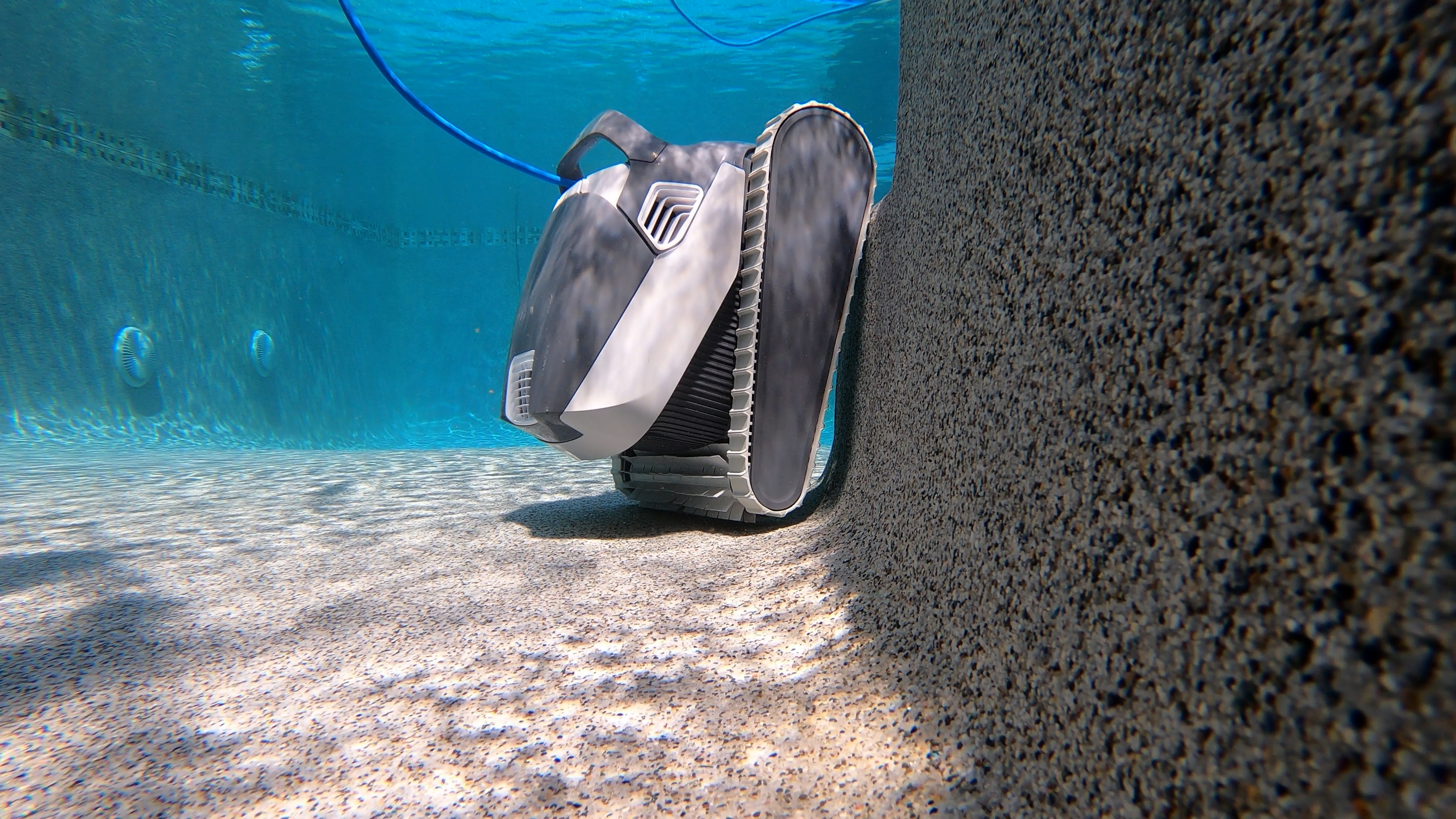 Dolphin Quantum Leaning Against Pebbletec Pool Wall Underwater