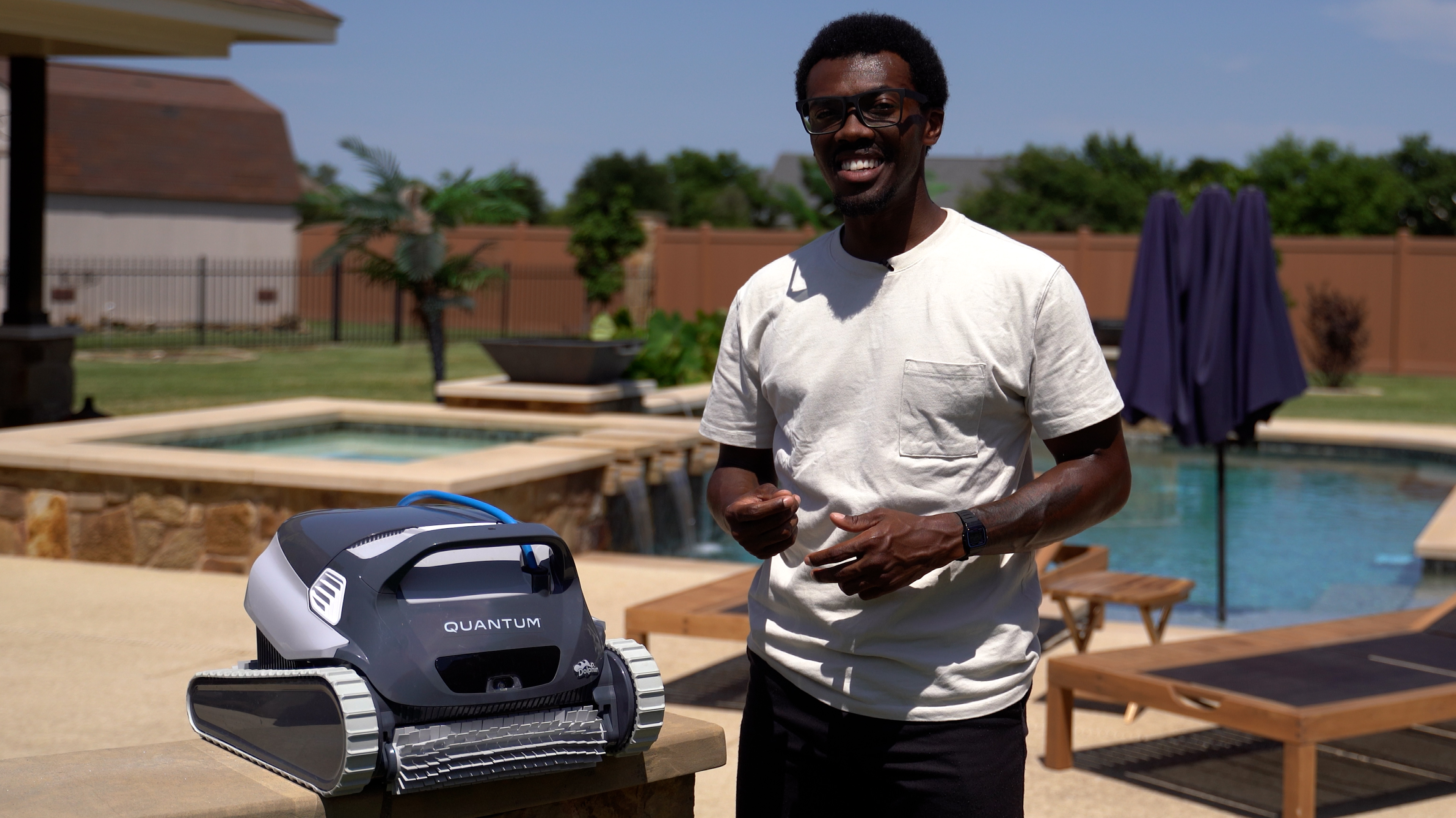 Dolphin Quantum Poolside