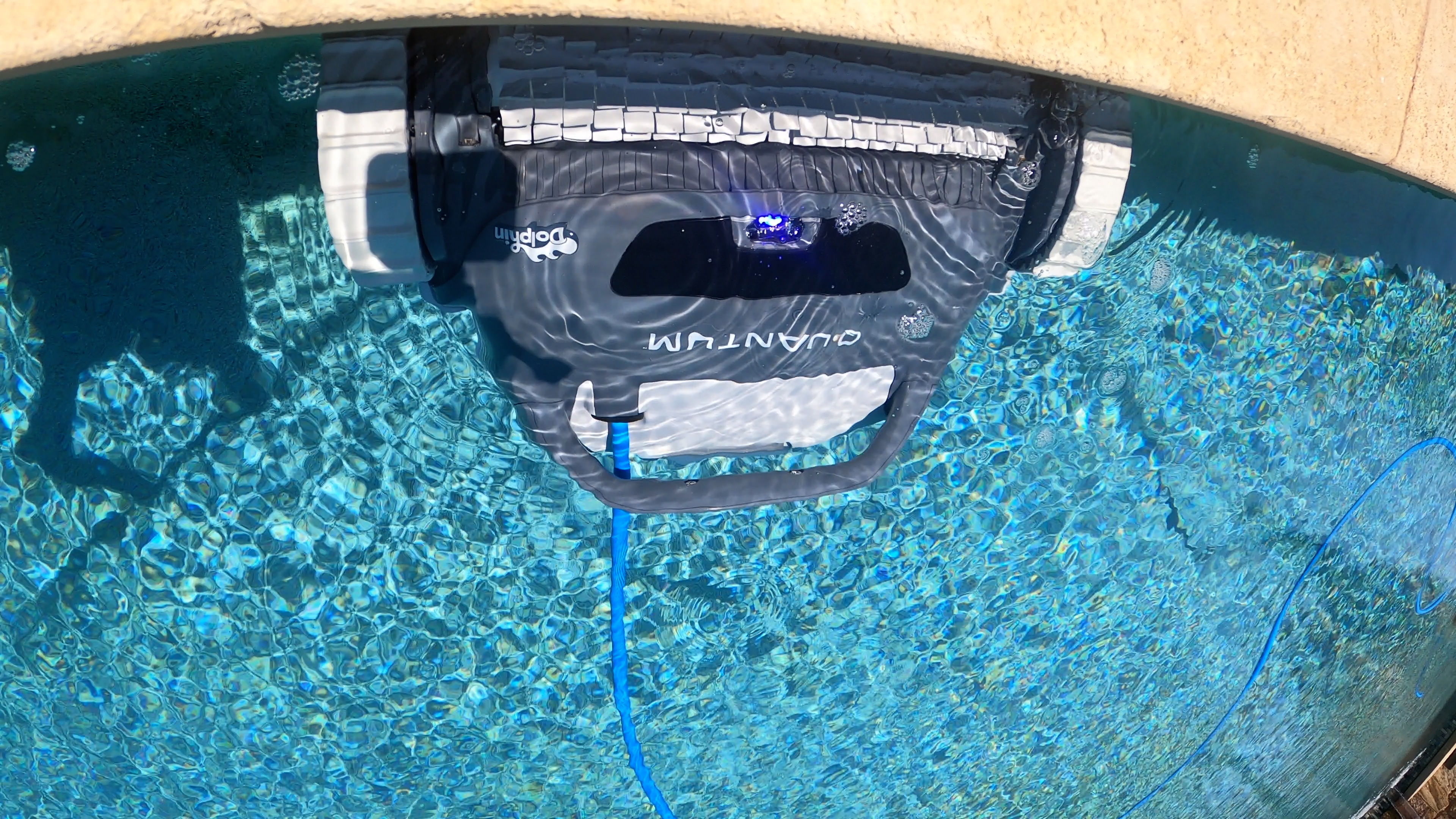 Dolphin Quantum Robot Floating Surface Blue Cord Attached