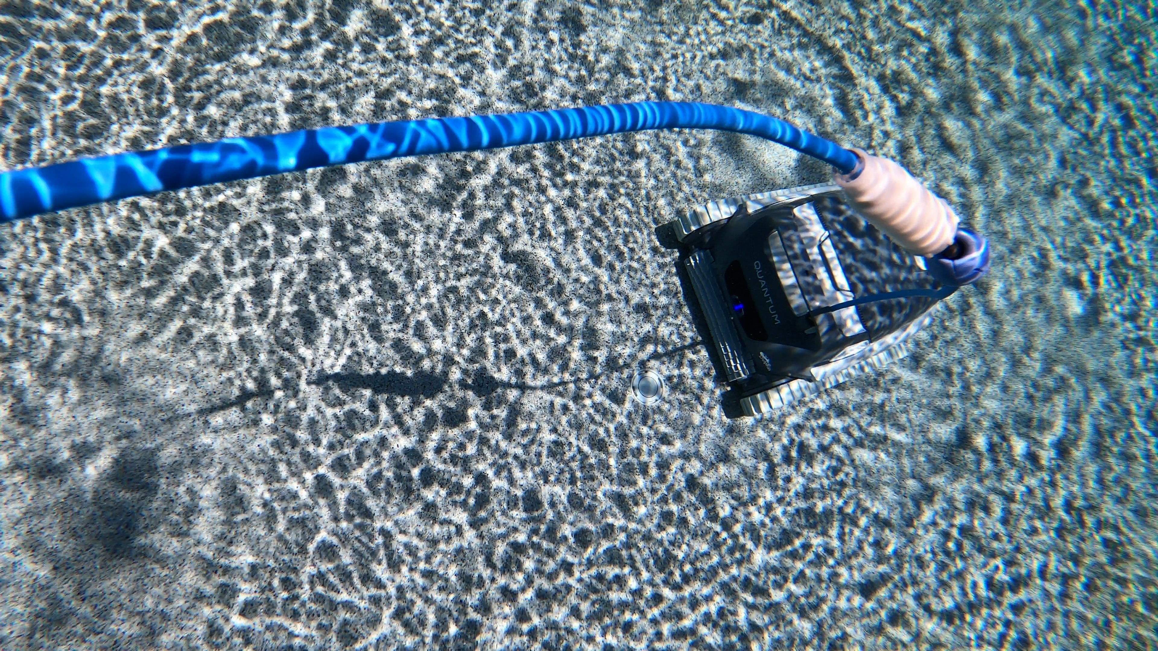 Dolphin Quantum Underwater Robot With Blue Power Cable