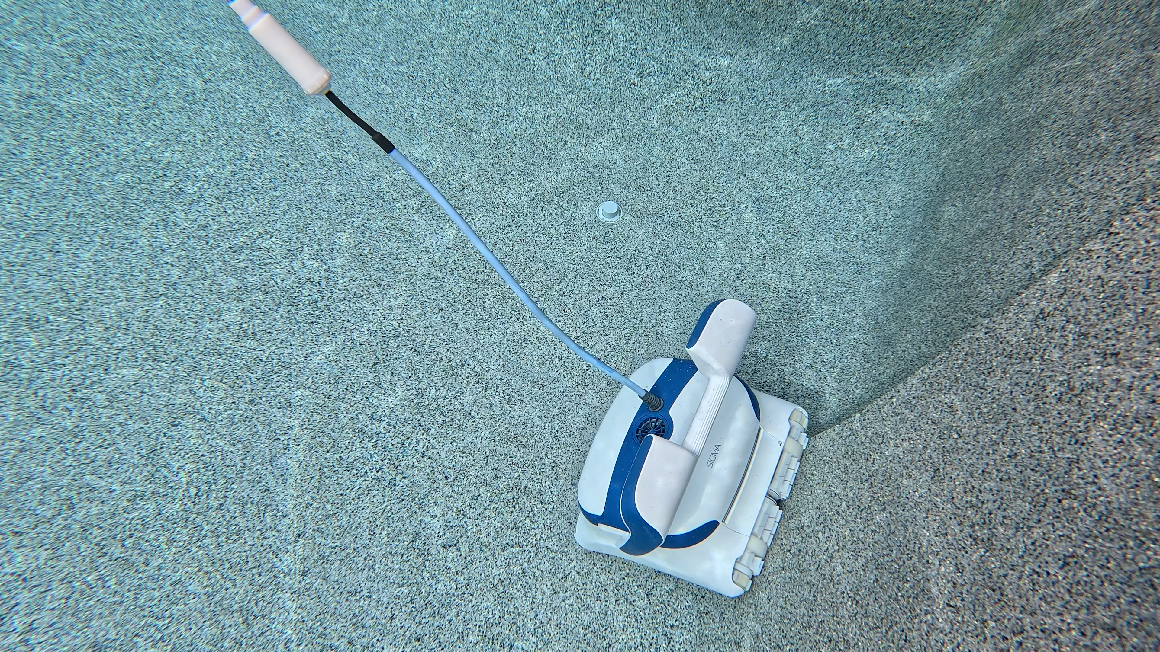 Dolphin Sigma Underwater Near Corner Pebble Tec Close View