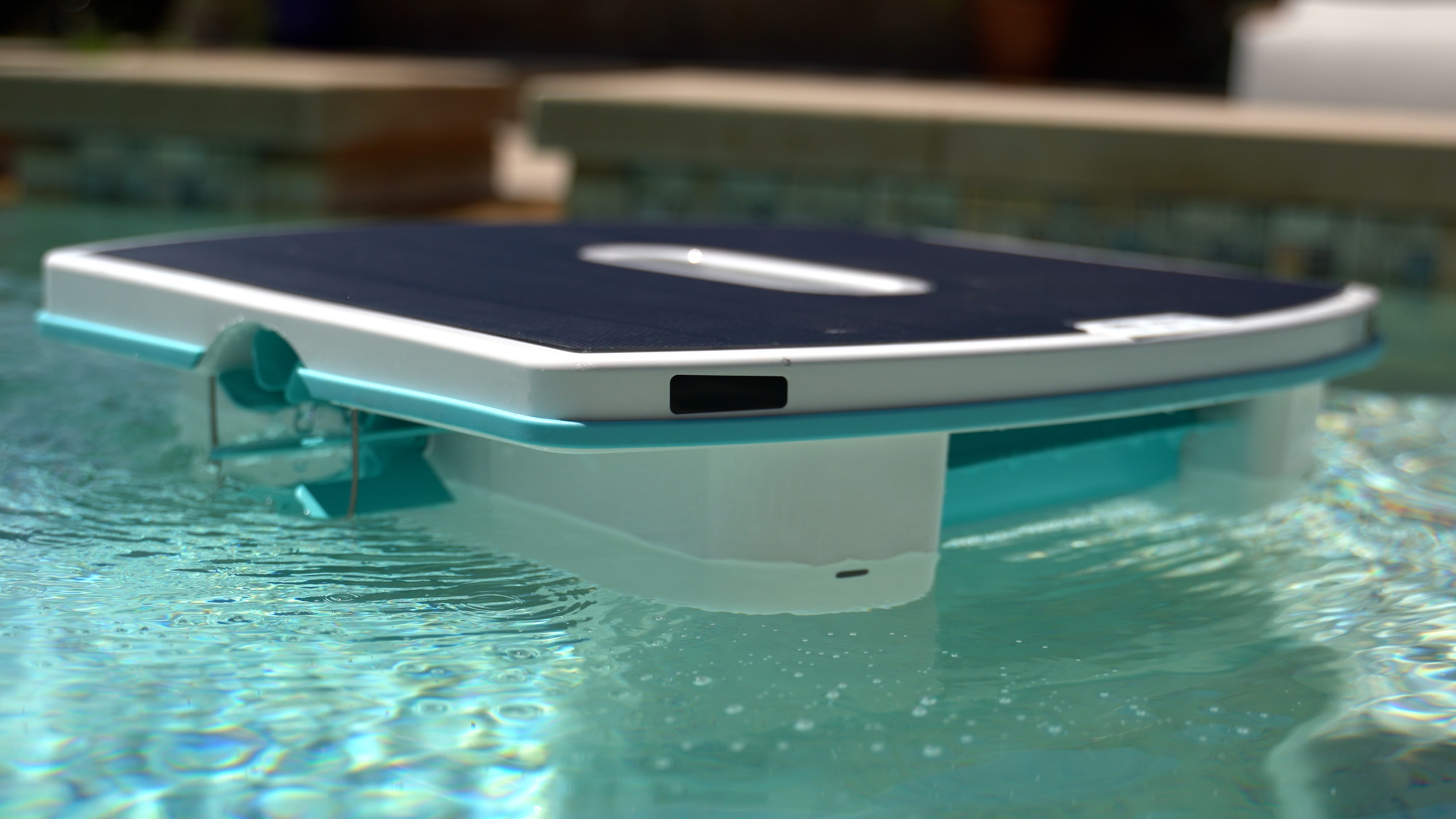 Dolphin Skimmi Floating On Water Close Side View