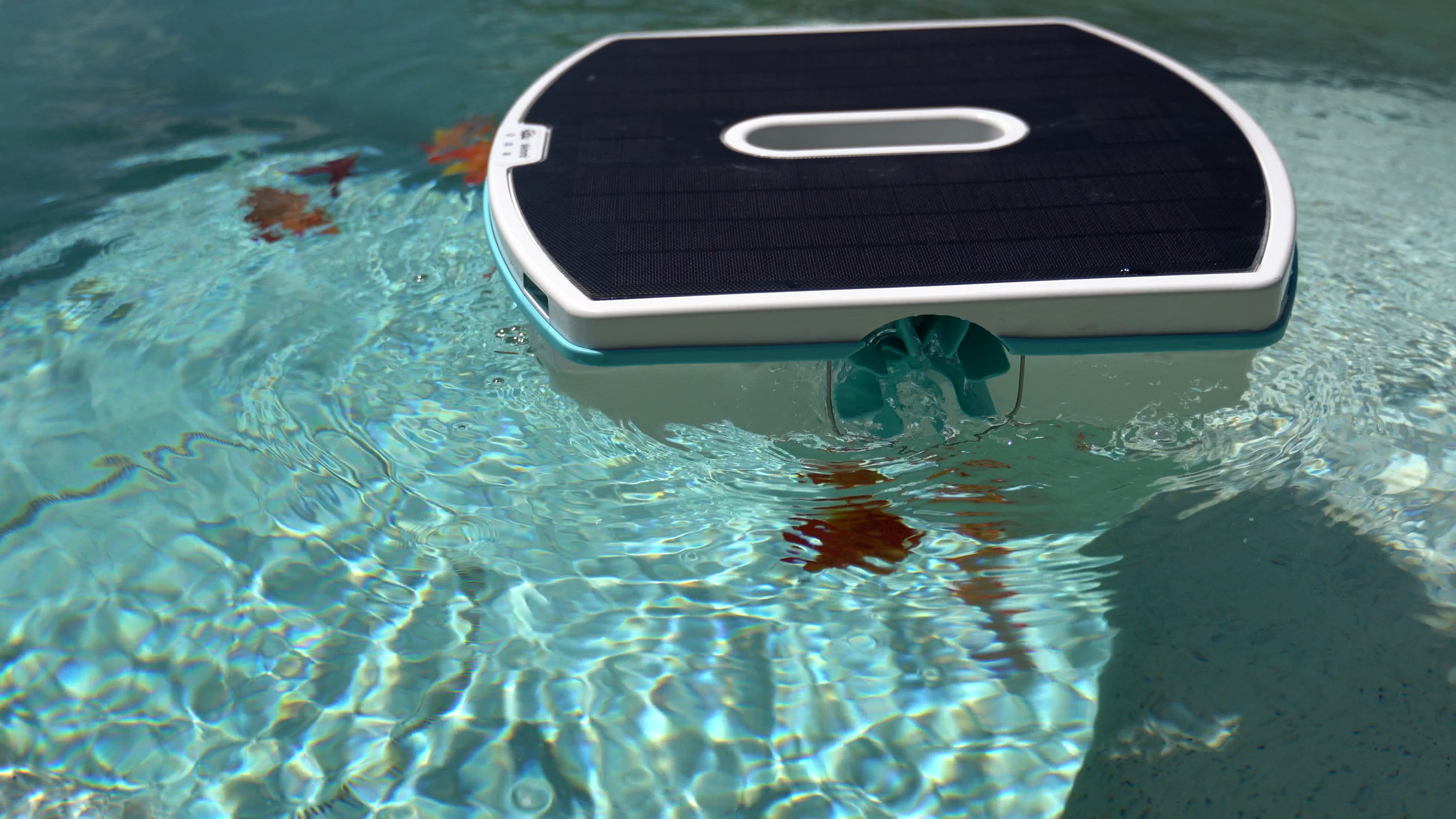 Dolphin Skimmi Floating Pool Surface With Leaf Debris