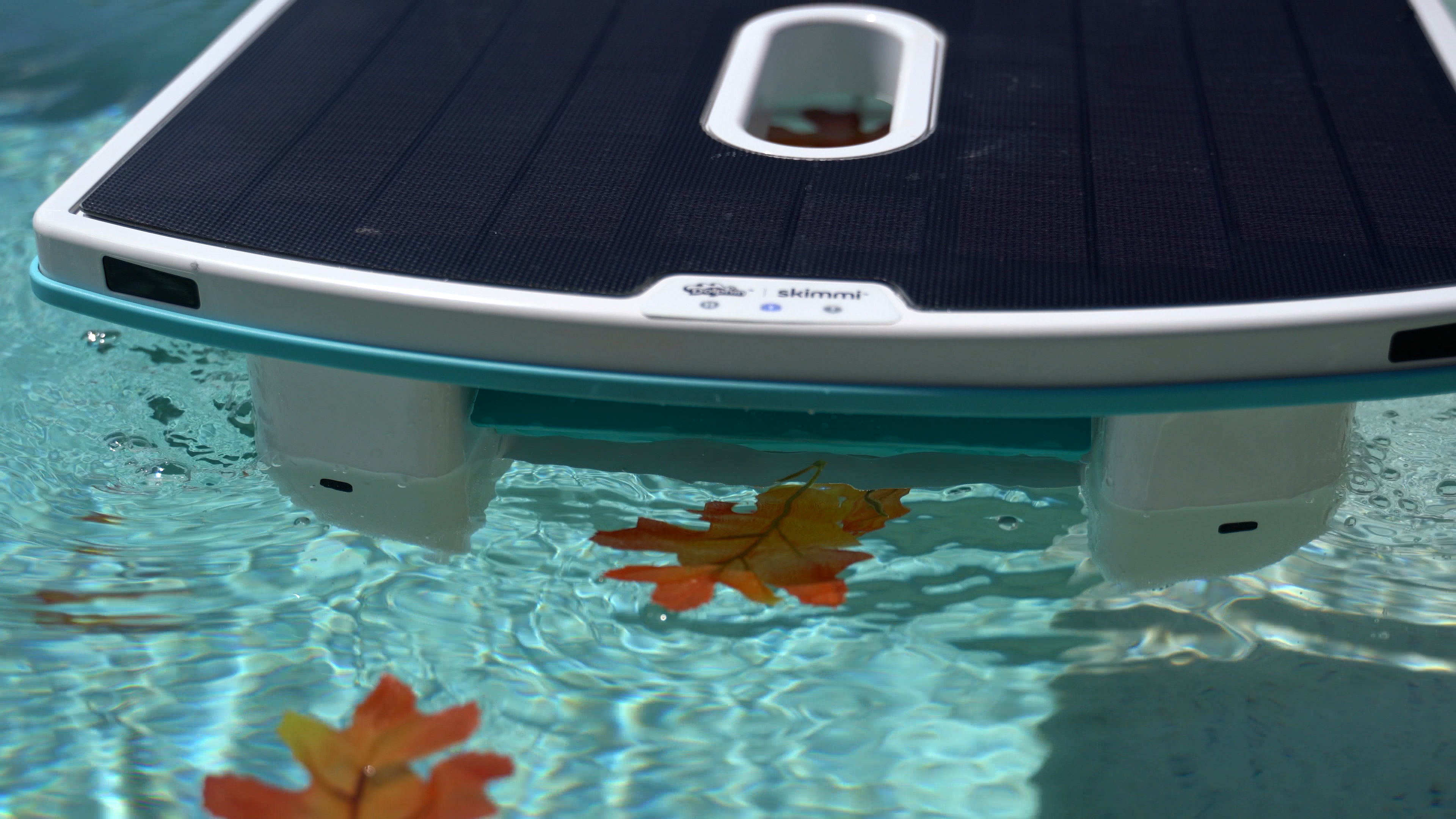 Dolphin Skimmi Floating Pool Surface With Leaves Closeup