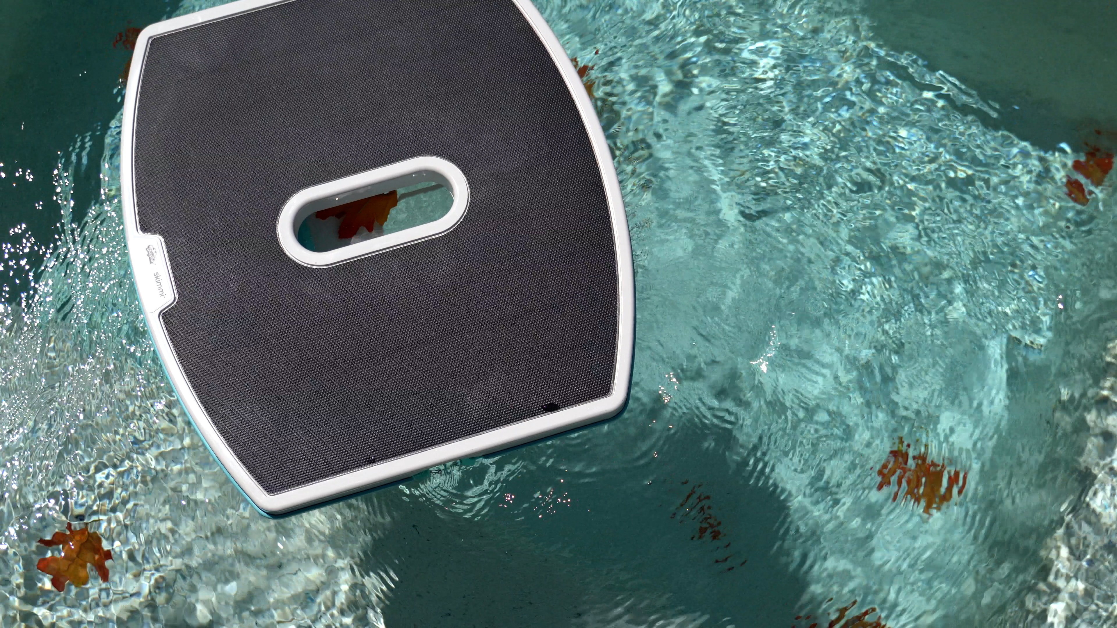 Dolphin Skimmi Floating Pool Water Leaf Filter Top View