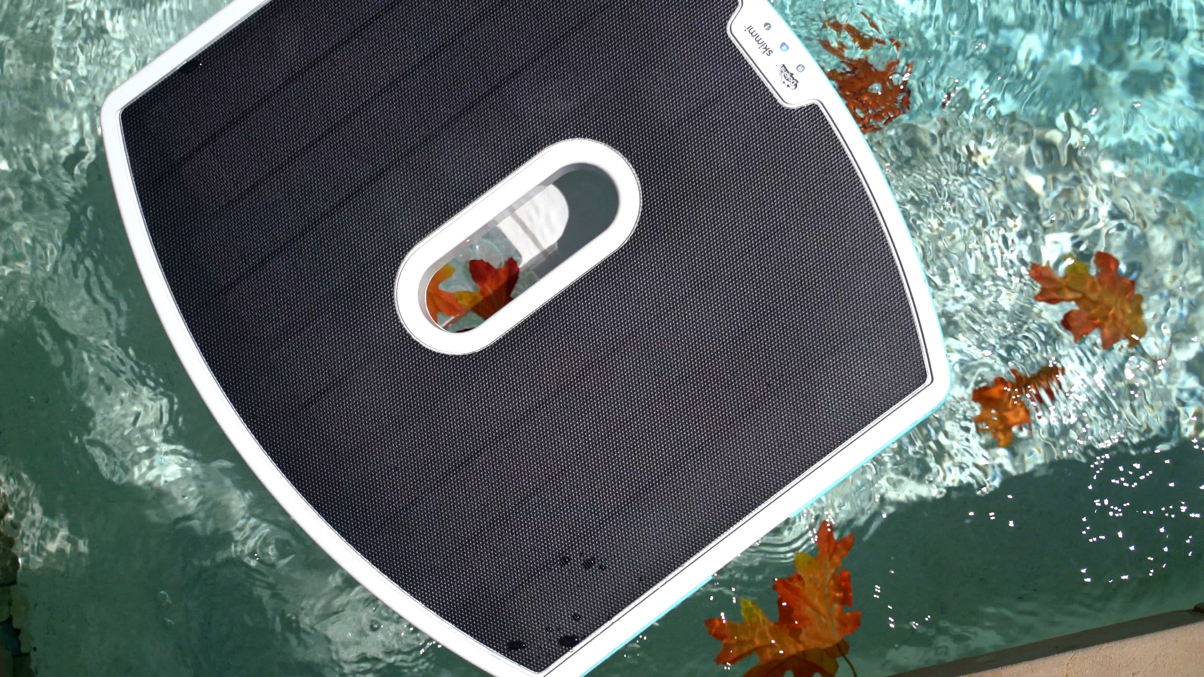 Dolphin Skimmi Floating Surface Collecting Autumn Leaves Topdown