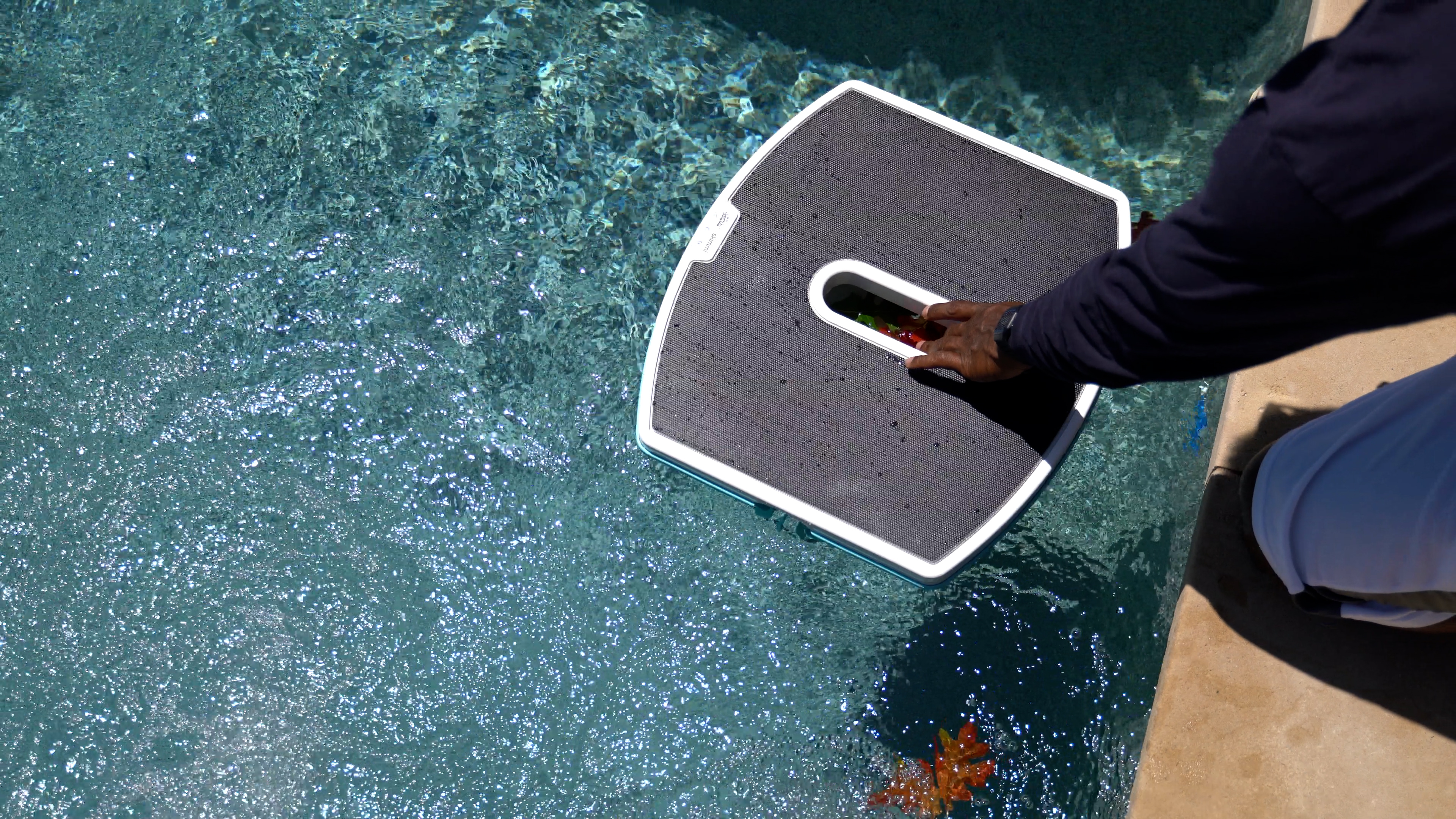 Dolphin Skimmi Hand Checking Collected Leaves Pool Surface