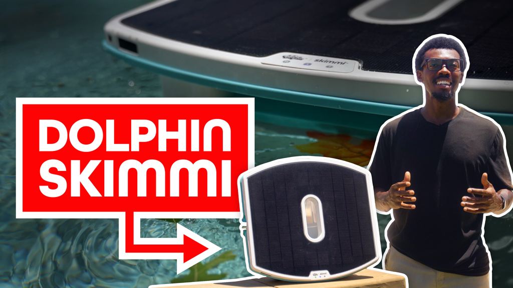 Dolphin Skimmi Review