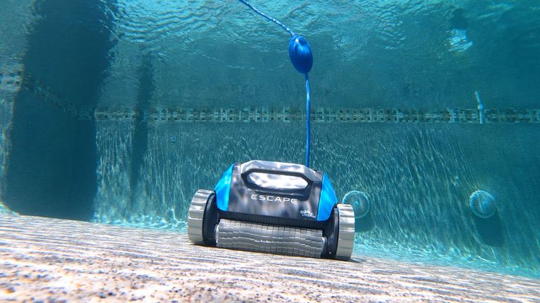 Dolphin Escape Underwater Pool Floor Close Up Tiled Edge
