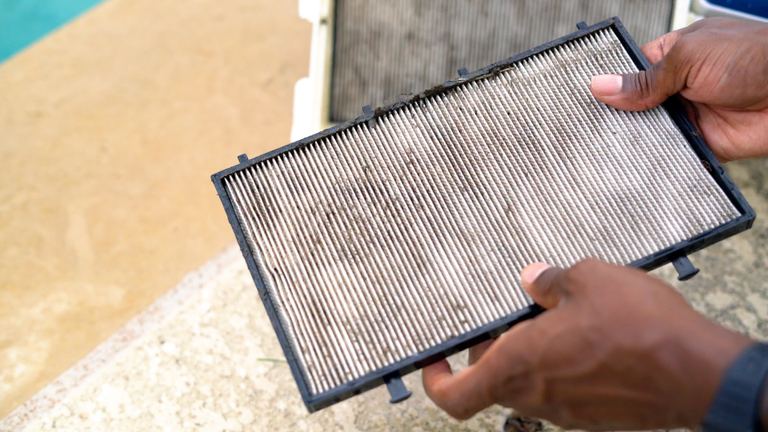 Dolphin Sigma Hands Holding Dirty Pleated Fine Filter