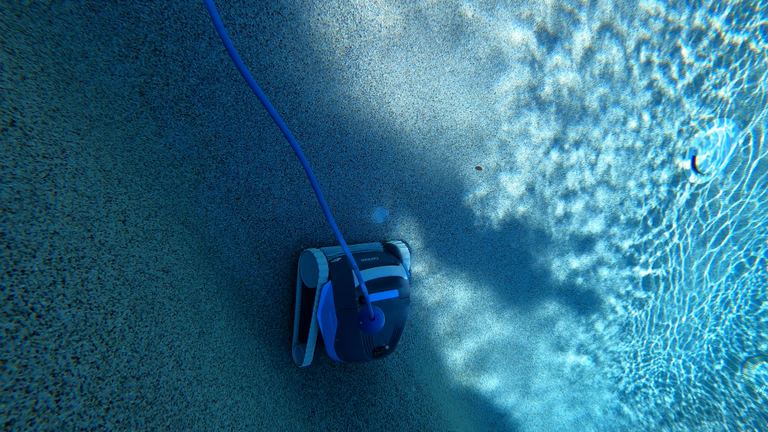 Dolphin Cayman Laying Upside Down Textured Pool Bottom