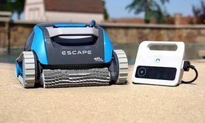 Dolphin Escape with Timer