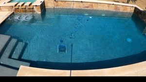 Dolphin Escape Review