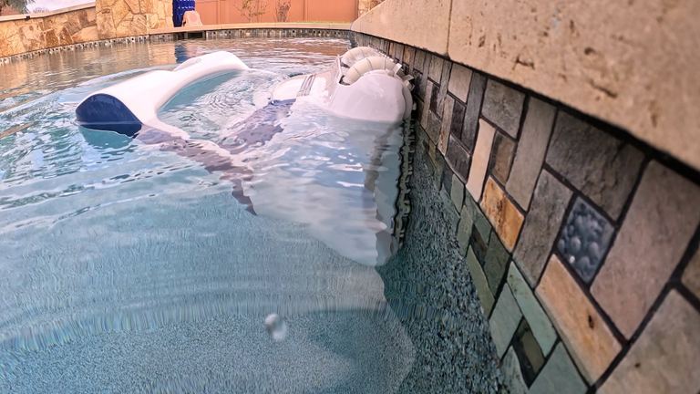 Dolphin Sigma Floating At Waterline Near Tiled Edge