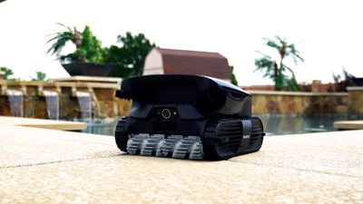 Do You Really Need the Most Expensive Pool Robot?