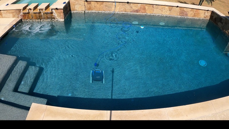 Dolphin Escape Review