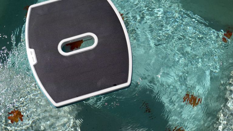 Dolphin Skimmi Floating Pool Water Leaf Filter Top View