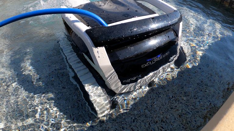 Dolphin E70 Surfacing At Waterline Rear Close Up