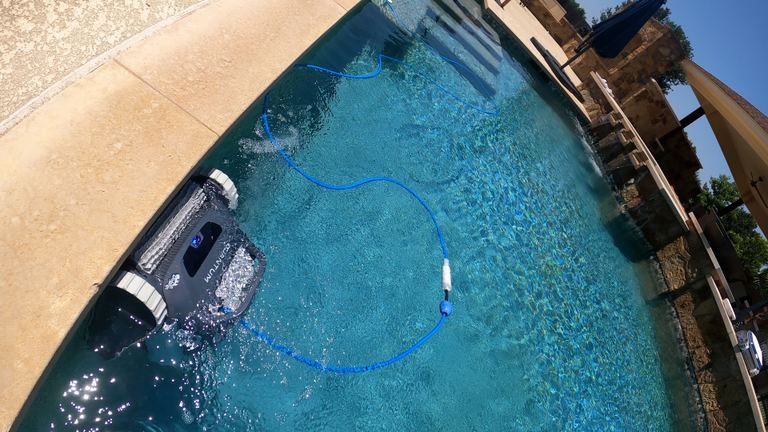 Dolphin Quantum Robot Dipping In Sunny Blue Pool
