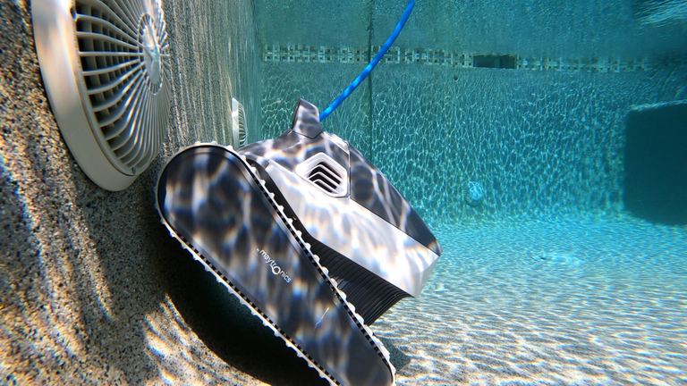 Dolphin Quantum Angled Closeup Underwater Near Pool Wall