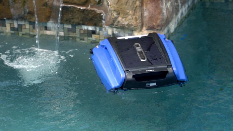 Betta SE Skimming Near Stone Waterfall Feature