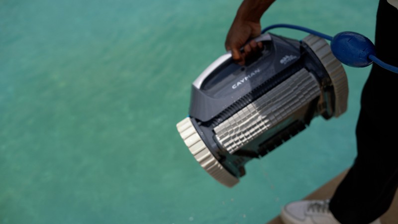 Dolphin Cayman Review