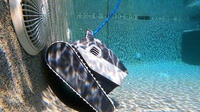 Dolphin Quantum Review