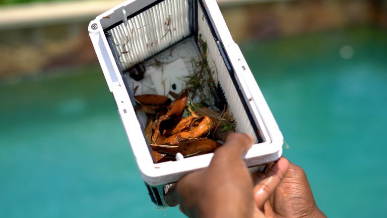Dolphin Escape Hand Holding Full Filter Basket Poolside