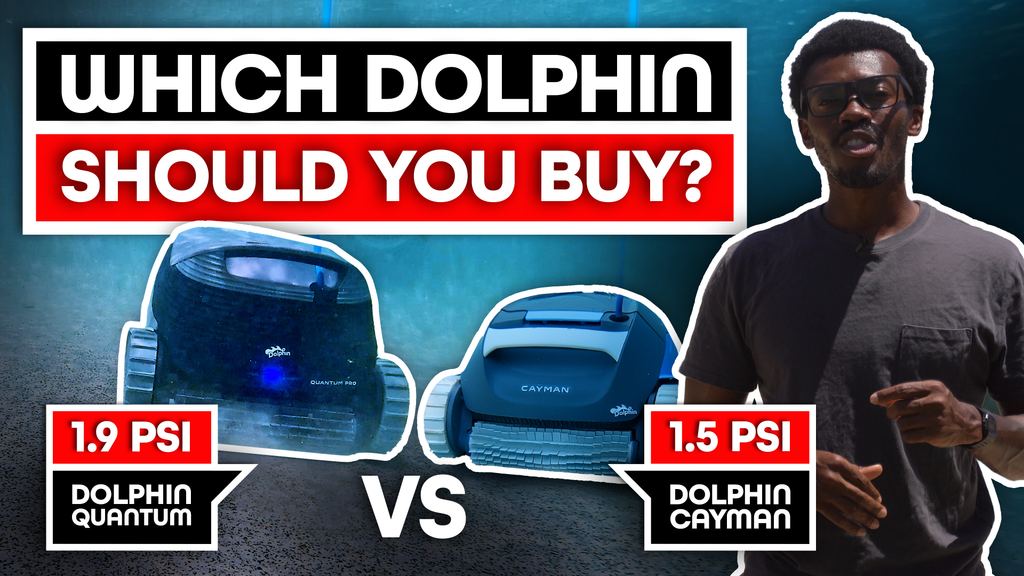 Dolphin Cayman vs Dolphin Quantum Pro