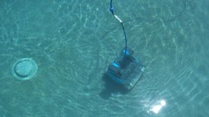 Dolphin Premier Review