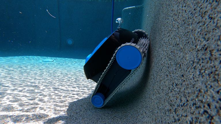 Dolphin Nautilus CC Climbing Pool Wall Underwater