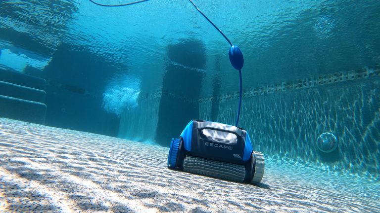 Dolphin Escape Front View On Floor With Steps Behind