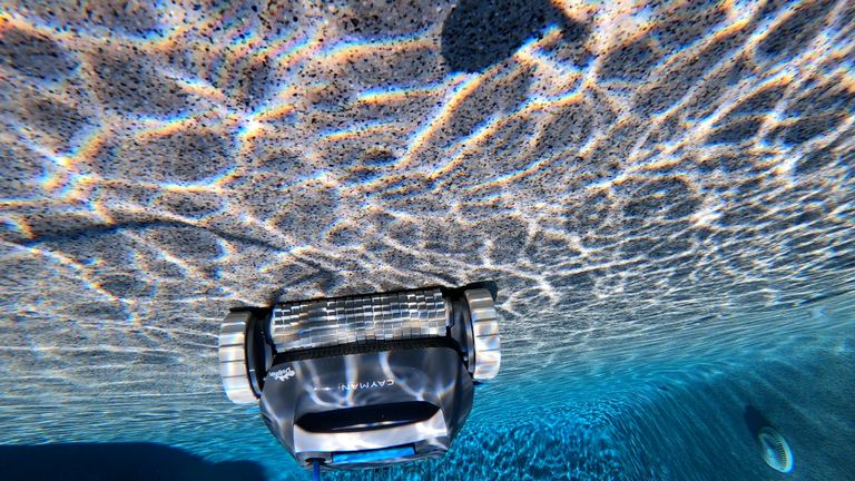 Dolphin Cayman Front View Crossing Sunlit Pebble Floor