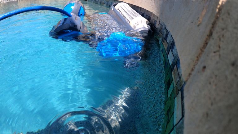 Dolphin Premier Underwater Floating Near Tiled Pool Edge