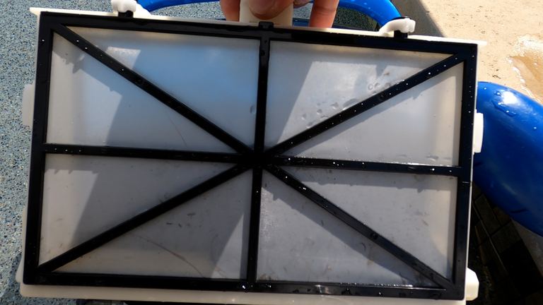 Dolphin Nautilus CC Plus Holding Up Clean Fine Filter Panel